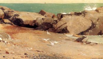 Winslow Homer : Rocky Coast and Gulls